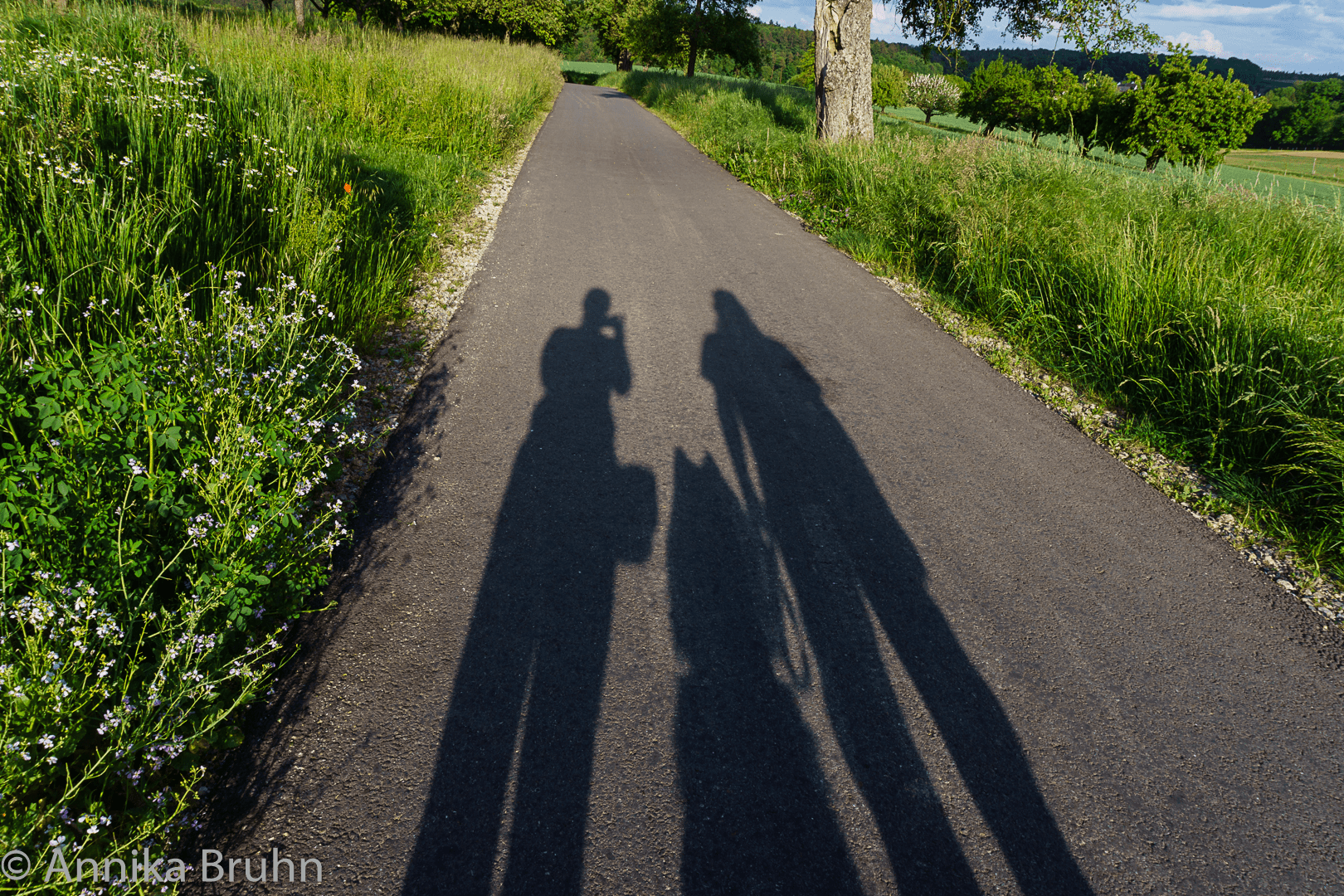 Familien Bild